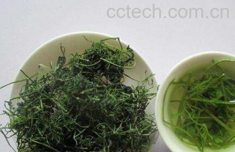 绞股蓝茶的功效与作用 喝绞股蓝茶的好处-0