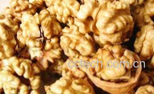 核桃的功效与作用 核桃的药用价值-0