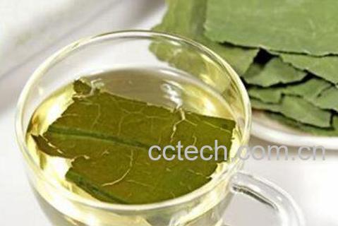 荷叶茶的功效与作用 荷叶茶的泡法-0