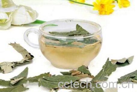 荷叶茶的功效与作用 荷叶茶的泡法-1