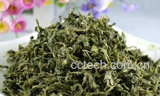 罗布麻茶的功效与作用 罗布麻茶的药用价值-0