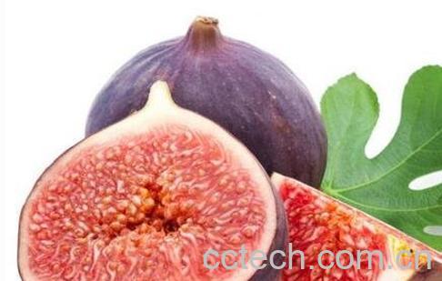 无花果的功效与作用 无花果的食用方法-1