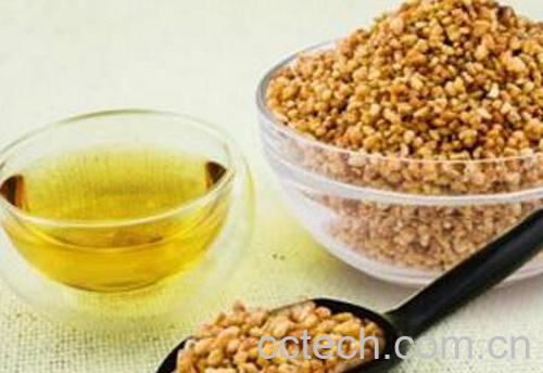 苦荞茶的功效与作用 喝苦荞茶的好处-0