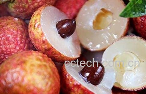 荔枝的功效与作用 荔枝的药用价值-0