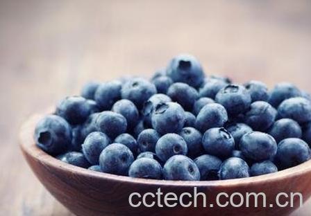 蓝莓的功效与作用 蓝莓的药用价值-0