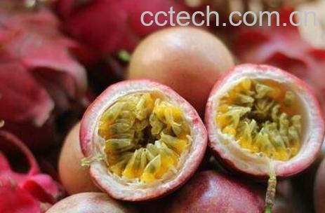 百香果的功效与作用 百香果的药用价值-0