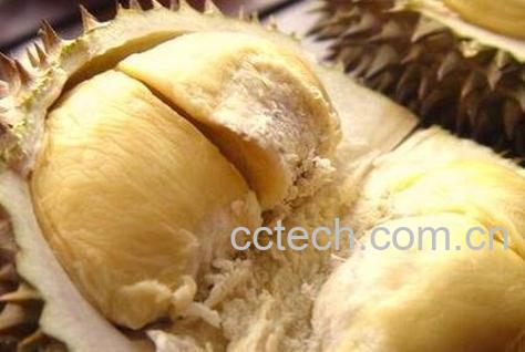 榴莲的功效与作用 榴莲的药用价值-1