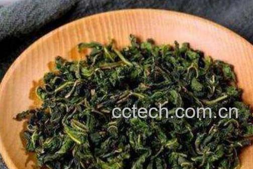 桑叶茶的功效与作用 桑叶茶的泡法-0
