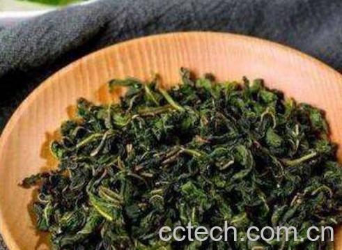 桑叶茶的功效与作用 桑叶茶的泡法-1
