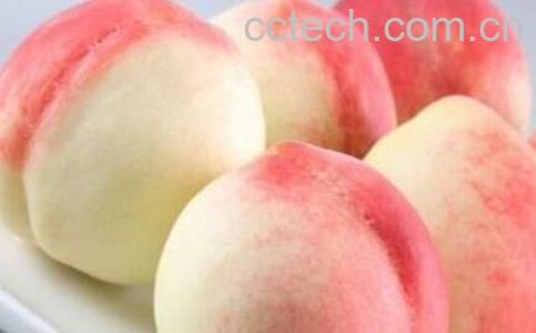 桃子的功效与作用 桃子的药用价值-0