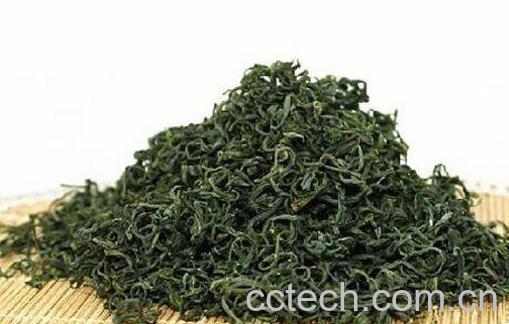 绿茶的功效与作用及禁忌-1