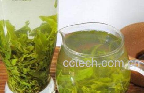 绿茶的功效与作用及禁忌-0