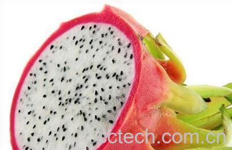 火龙果的功效与作用 火龙果的药用价值-1