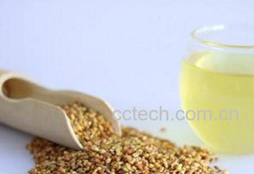 荞麦茶的功效与作用 荞麦茶的泡法-0