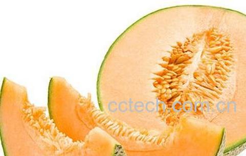 优密瓜的功效与作用-0