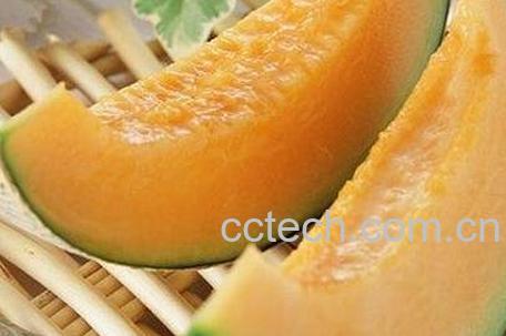 优密瓜的功效与作用-1