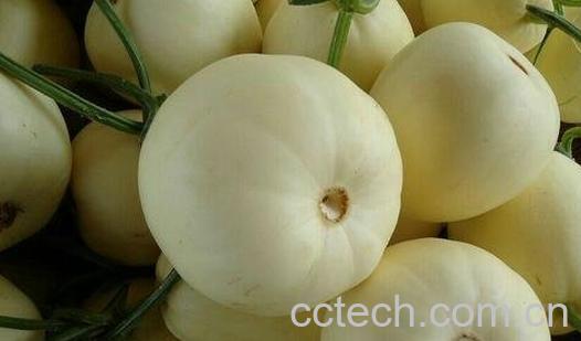 梨瓜可以做菜吗 梨瓜做菜怎么吃-0