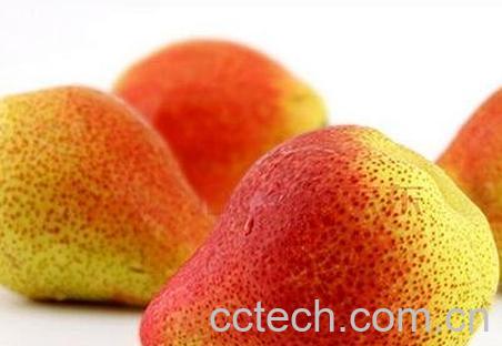 啤梨怎么吃 啤梨的吃法技巧-0