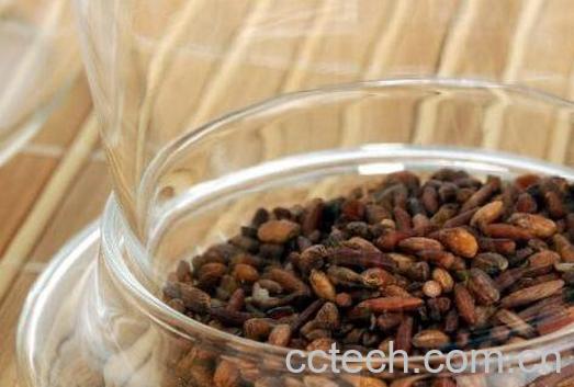 糙米茶的功效与作用 糙米茶的泡法-1