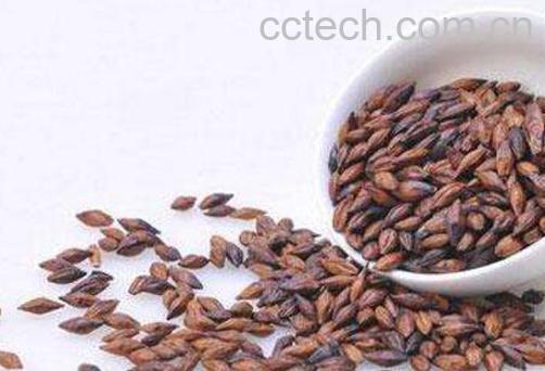 喝大麦茶的功效与作用有哪些-1