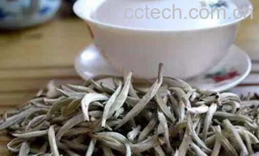 白茶的功效与作用 喝白茶的好处-0