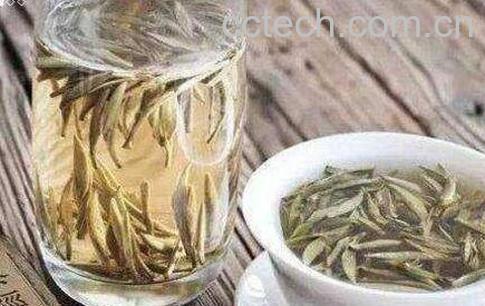 白茶的功效与作用 喝白茶的好处-1