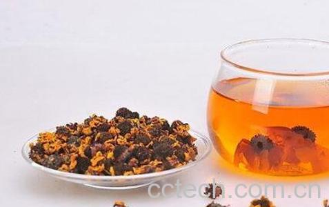 昆仑雪菊怎么喝 昆仑雪菊的饮用方法-0