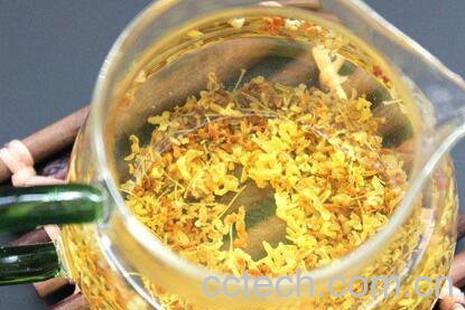 桂花茶可以天天喝吗 桂花茶的副作用-1