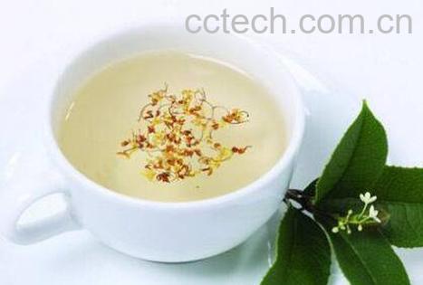 桂花茶怎么泡 桂花茶的冲泡方法-0