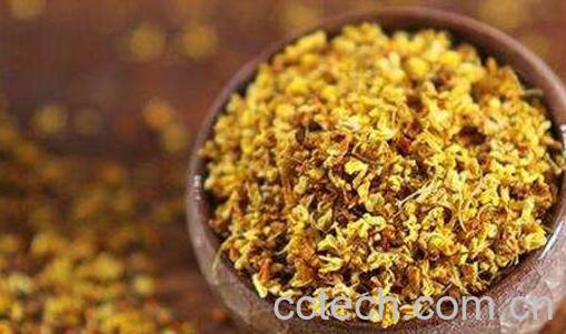 桂花茶的功效与作用及冲泡方法-0