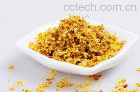 桂花茶的功效与作用及冲泡方法-1