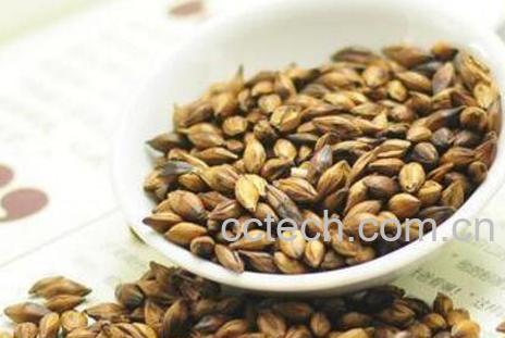 大麦茶的功效与作用及副作用-0