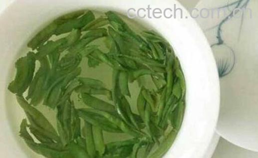 六安瓜片是什么茶 六安瓜片冲泡方法-1