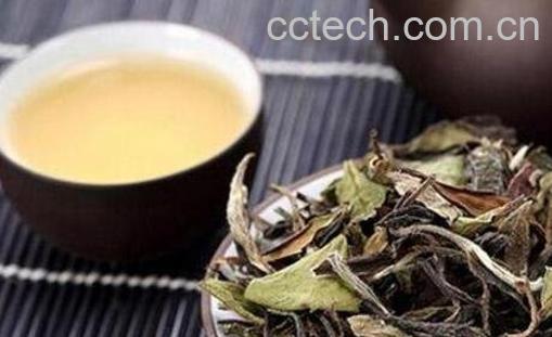 中国白茶如何喝 中国白茶的泡法-1