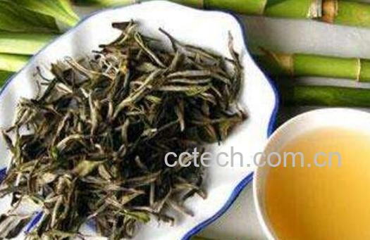 中国白茶如何喝 中国白茶的泡法-0