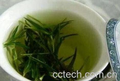 西湖龙井如何泡 西湖龙井冲泡方法-1