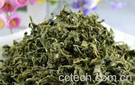 罗布麻茶的功效与禁忌-1