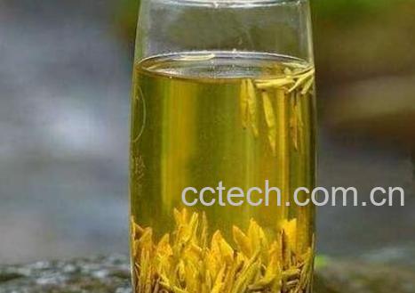 黄茶的养生功效与作用-0