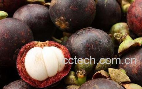 煮熟的山竹的功效-0