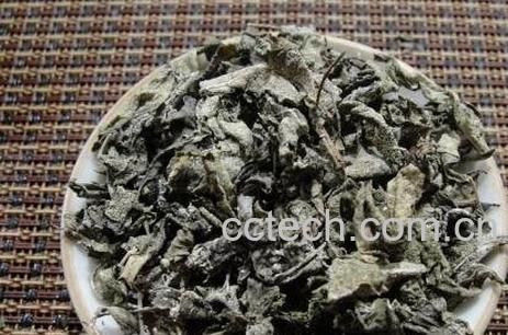 溪黄草茶的功效与作用-0