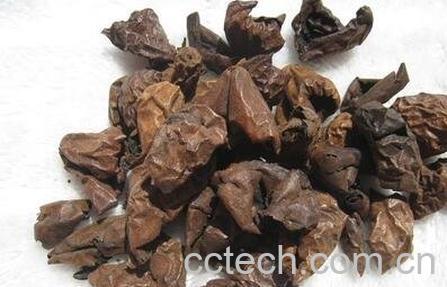 野生核桃皮的功效作用-0