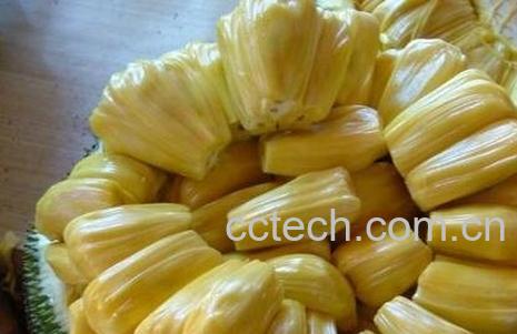 木波萝的吃法与功效-0