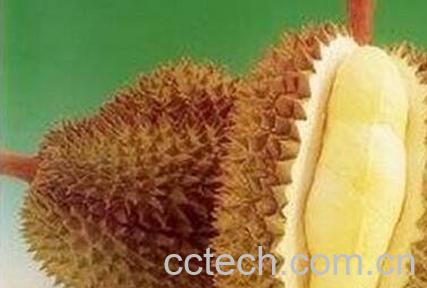 榴莲变质了是什么样-0