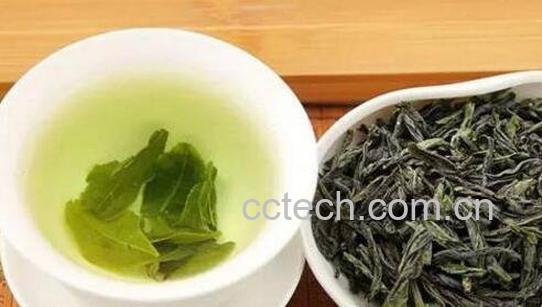六安瓜片如何泡 六安瓜片的冲泡方法-0