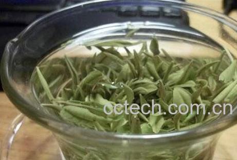 溧阳白茶的功效与作用 喝溧阳白茶的好处-0