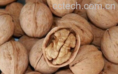 核桃变质能吃吗-0