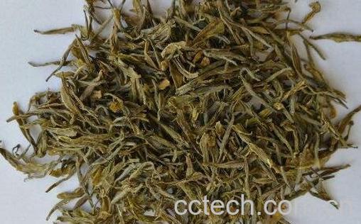 苗族黄茶的功效与作用-1