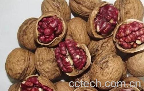 红心核桃的功效与作用-0