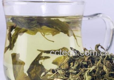 蒲公英茶哪些人不宜喝 蒲公英茶的功效与作用-1