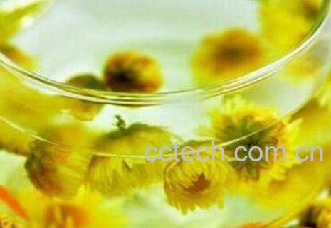 胎菊花茶的功效作用与禁忌-0